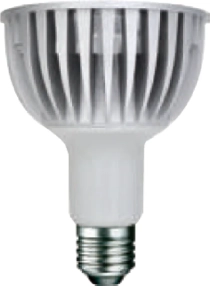 麗光科技股份有限公司